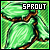 Sprout Dessert