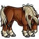 Beriberi Infected Shetland Pony Beriberi Infected Shetland Pony