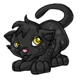 Shadow Leepra