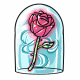 Rose Of Enchantment