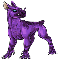 Purple Danemue Ichumon
