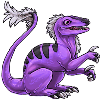Purple Ignomi Ichumon