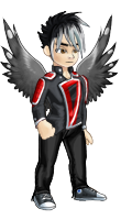 User Persona